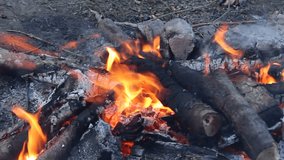 video of campfire wood burning, red embers, image of the fire burning, silent video.