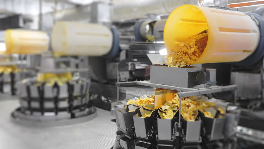 Fried potato chips end up on an industrial conveyor belt in a factory. A pile of fried chips ends up in a sorting container at the plant. Chips Factory.