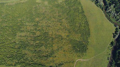 Summer Field Aerial View