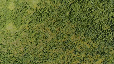Summer Field Aerial View