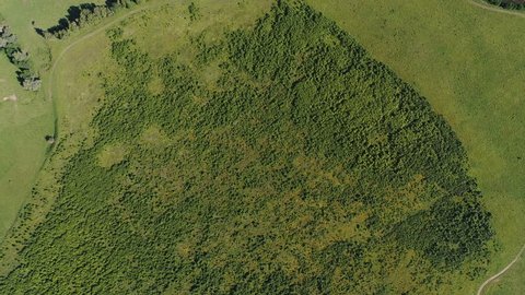 Summer Field Aerial View