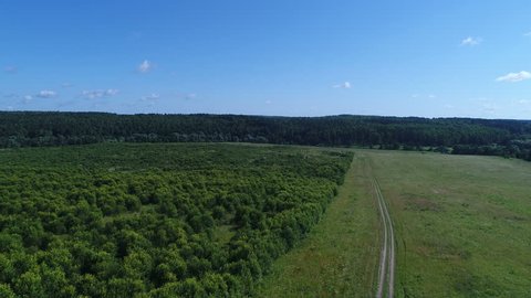 Summer Field Aerial View