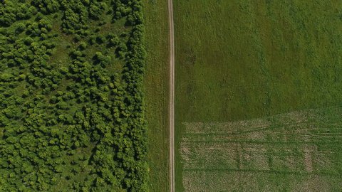 Summer Field Aerial View
