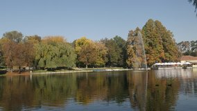 Pond water reflections in the park slow tilt 3840X2160 UltraHD footage - Autumn in Romanian city of Craiova 4K 2160p 30fps UHD video