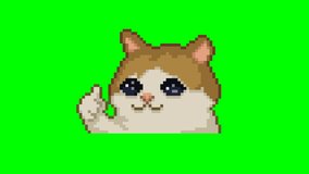 Video Cat with thumbs up, pixel art meme