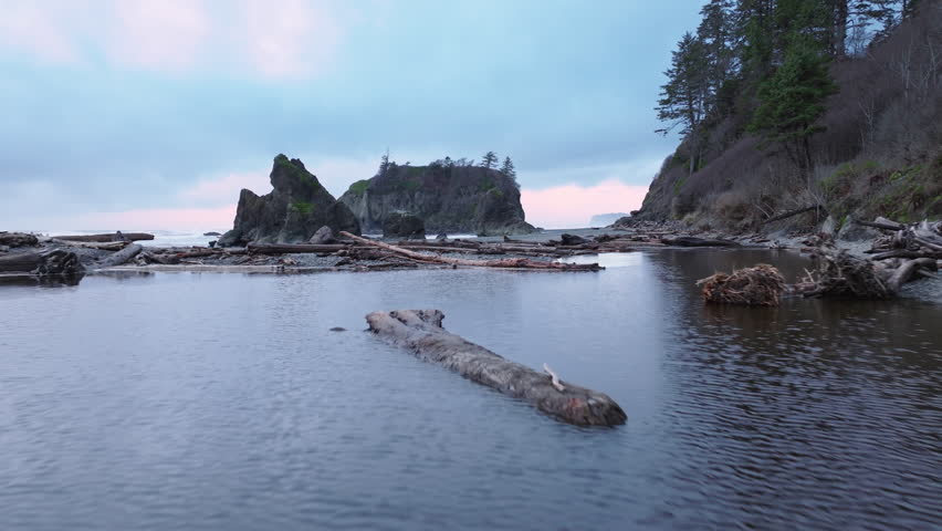 Aerial of cinematic Olympic National Park. Dramatic sea stacks on rocky Ruby Beach along the Olympic coastline on moody overcast evening. Ruby Beach on West Coast of Northern America. Washington State