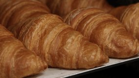 fresh many baked croissants on rack in row.woman hand putting pastry in basket for sale. cafe business, making of process.croissant with chocolate and no filling.4k