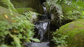video of small waterfall falling over the rocks in the tropical garden