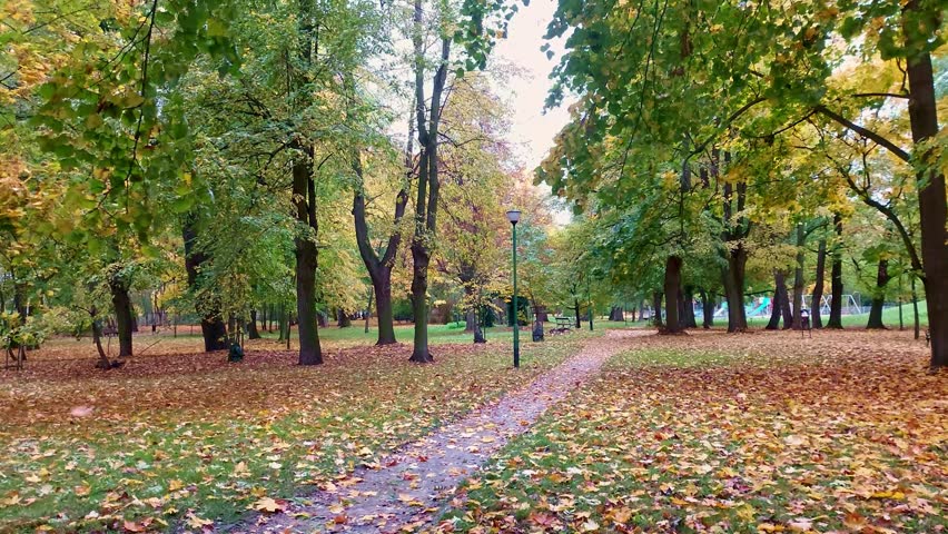 A tranquil park adorned with yellow and orange leaves falling slowly, creating a nostalgic, picturesque autumn setting.