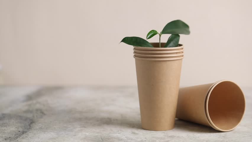 Eco friendly paper cup and green plant. Zero waste, plastic-free items. Stop plastic pollution.  Royalty-Free Stock Footage #3484138541