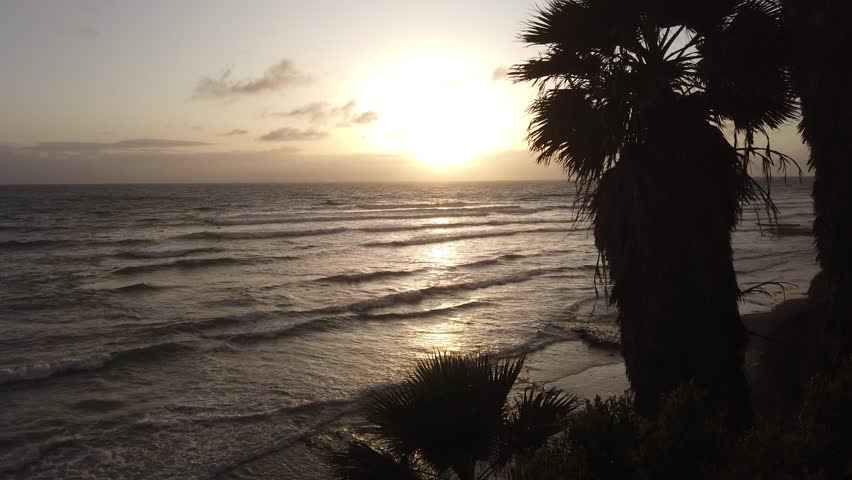 Southern California beaches, sunsets, surfers, tide pools and palms trees at Swamis Reef Surf Park in Encinitas California.