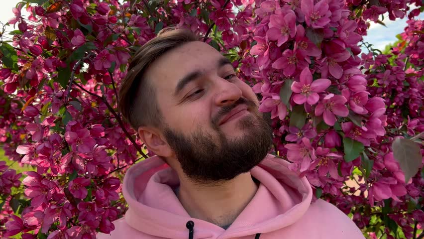 4K video. Young adult bearded white smiling man in pink hoodie in city park near lilac flowering Japanese cherry tree looks at camera. Male closeup portrait. Spring bloom season.Little flower Royalty-Free Stock Footage #3484293765