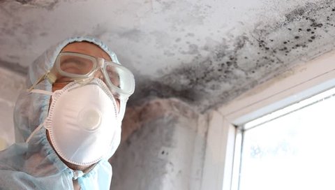 Professional inspect house for visible signs of mold. Mold inspection, mold testing, mold removal and remediation