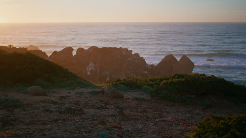Cliff coast beautiful morning at ocean horizon. Serene coastal sunset at shore. Golden light creating peaceful atmospheric evening. Picturesque vast sea at dusk landscape. Natural beauty of coast. Royalty-Free Stock Footage #3484375101
