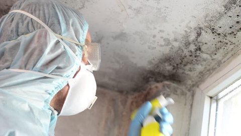 Mold professional uses sort of antimicrobial chemical to clean the mold. Mold remediation specialist: mold stains removal, cleaning and remediation. Covid-19 and black fungus in India