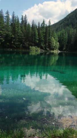 Gruner See, beautiful green alpine lake with crystal clear water in spring, Gruner See, Styria, Austria, Europe