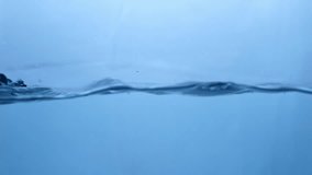 Fluid Dynamics Macro View of Fresh Water Droplets in Motion. Nature's Symphony Slow-Motion Water Ripple Effect in Blue Hue. - Powered by Shutterstock - Get 15% off with code: PIKWIZARD15