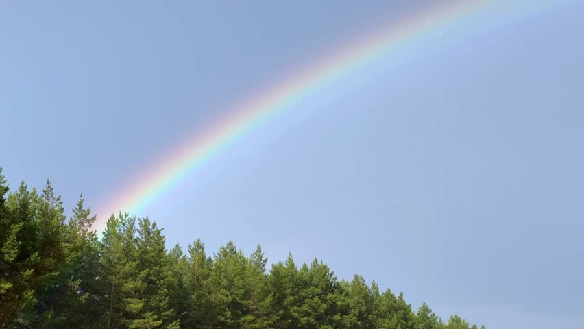 A double rainbow on a rainy spring day. A multicolored rainbow over a floral green field in the Perm Region. A rainbow against a cloudy sky.
