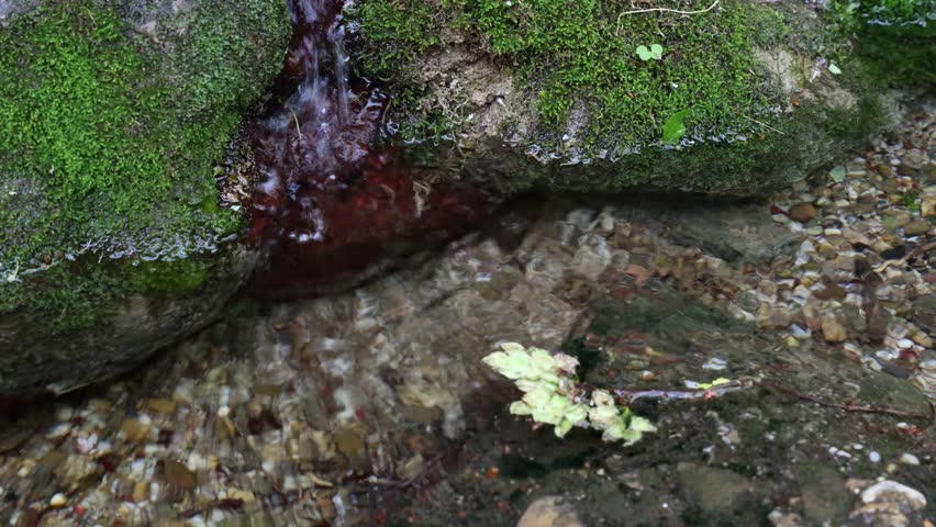 City of Simferopol (Crimea, Crimean peninsula) Slals and stream on the territory of the Weeping Rock natural reserve