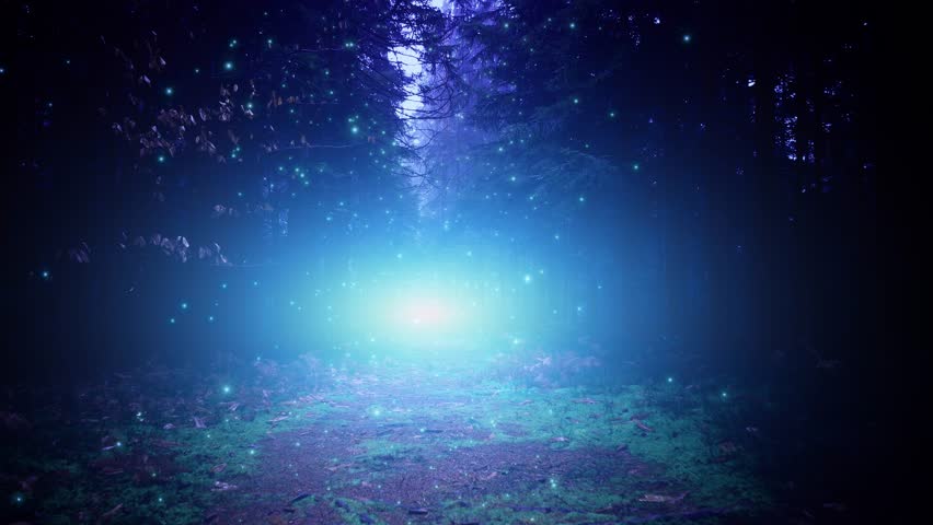 Magic dark blue fairy tale wood with flickering firefly animation.	
