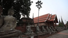Natural video background of a religious tourist attraction in Ayutthaya, Thailand. Wat Yai Chai Mongkhon has ancient trees and Buddha statues that are worthy of preservation and study of their history