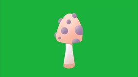 A 4K animation of a mushroom on a green screen background. It features a detailed, textured cap and stem, ideal for compositing in video editing projects
