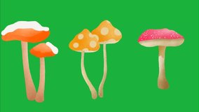 A 4K animation of a mushroom on a green screen background. It features a detailed, textured cap and stem, ideal for compositing in video editing projects