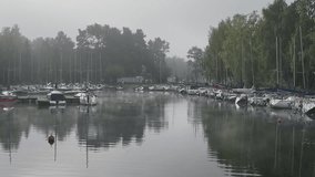 Ducks swim through a foggy bay in which there are boats.
Video footage of serene view of a harbor, captured from a drone’s perspective.