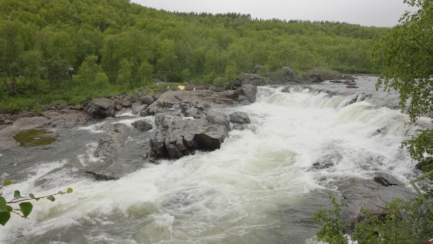 Dynamic view of powerful river rapids with a backdrop of dense greenery in a serene landscape in Estonia