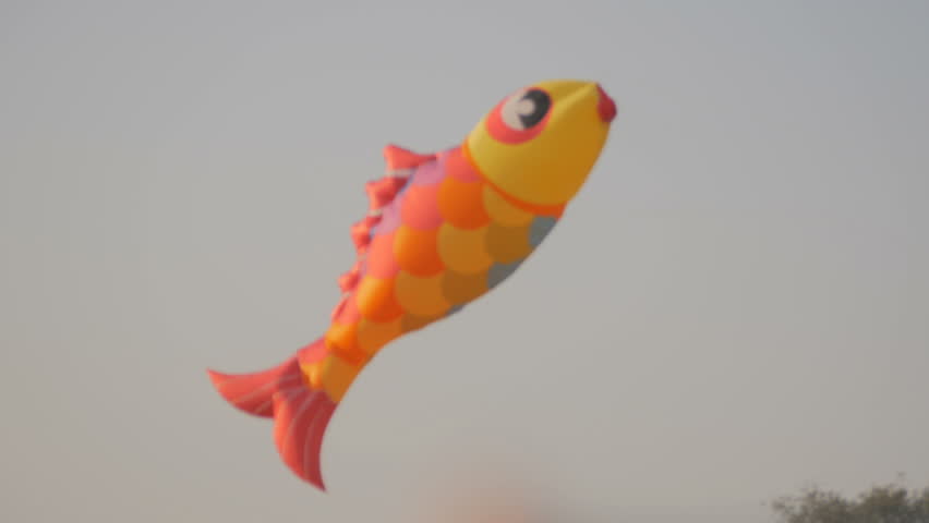A kite shaped like a fish in an International Kite Festival 