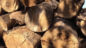 A pile of logs with some of them being cut in half. The logs are stacked on top of each other, and the pile is quite large. The logs have a rustic and natural appearance