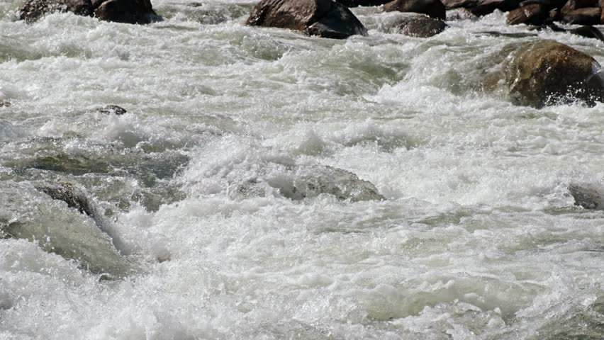 Video of Altai river Chulyshman. Boulders in river rapids.