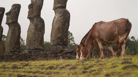 Ahu Akivi Moais, Rapa Nui, Easter Island