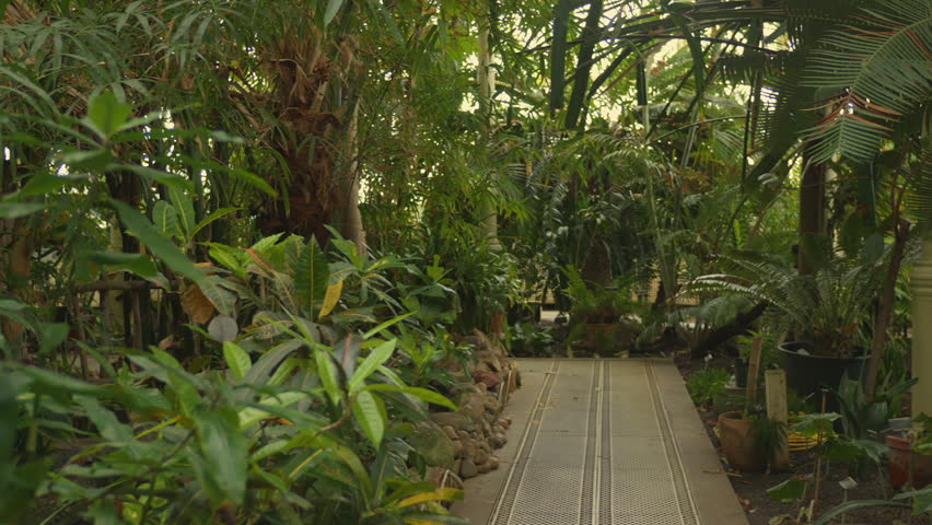 Tropical Greenhouse Botanic Gardens in Dublin, Ireland on sunny day.