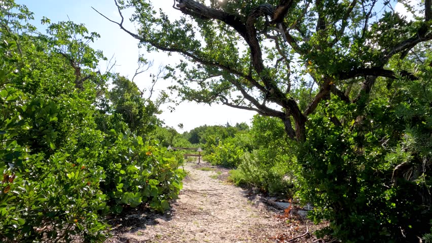 Long Key State Park Walkthrough - Golden Orb trail right before a hurricane, flooded trail in August 2023