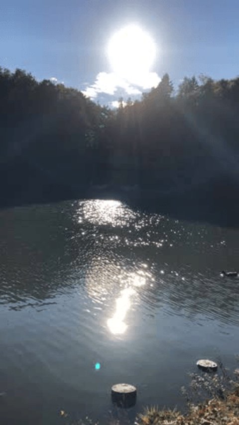 Sunset Serenity: A Pond's Peaceful Reflection. 夕阳湖畔的宁静：湖水的平静倒影. Sonnenuntergang am Teich: Die friedliche Spiegelung des Sees 庫存影片