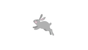 2D animation of running cute grey rabbit, bunny isolated on white background. Spring, Easter concept. Loopable HD footage.