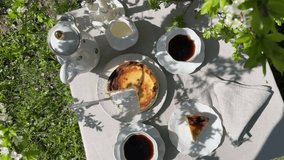 Top view of Summer breakfast with Basque Cheesecake and coffee in the countryside