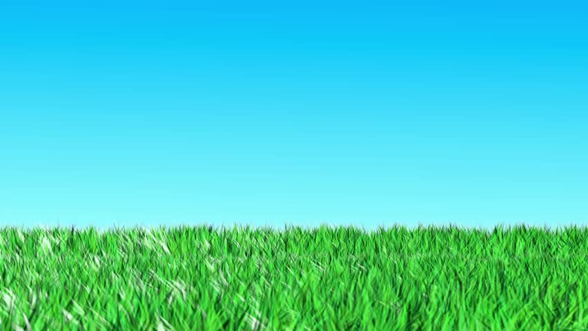 Grass Loop Animation for Use Stock Footage Video (100% Royalty-free