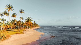Beautiful view of the beach line with tall palm trees and the ocean. Gray sky and white sea waves on yellow sand. Tropical beach background as summer landscape. The video is tinted.