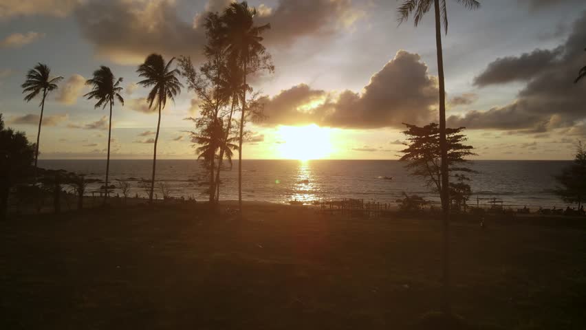 Relax on an empty sea beach. Travel to the paradise sea beach. beaches. moving pass plam tree