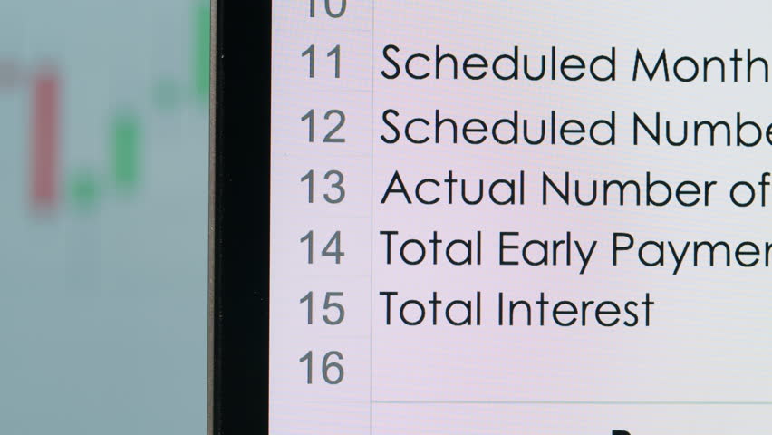 Close-up of financial cash flow data on PC screen.