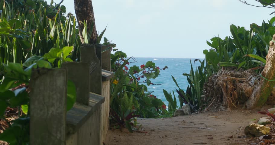 Narrow path leading to the ocean in tropical island.