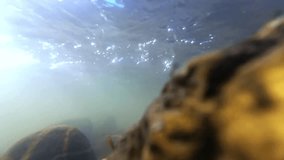 Underwater and overwater video of a stream with stones and drops in slow motion