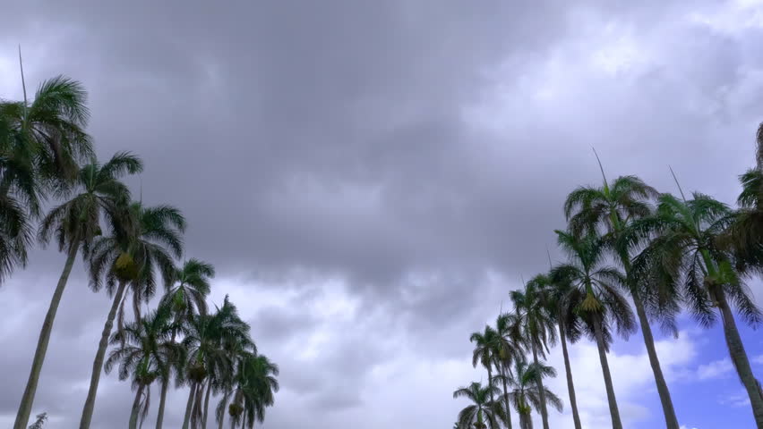 Pan-down shot of Laie Hawaii Temple on a cloudy day. Panning down of a building of mormon church in Oahu, Hawaii.