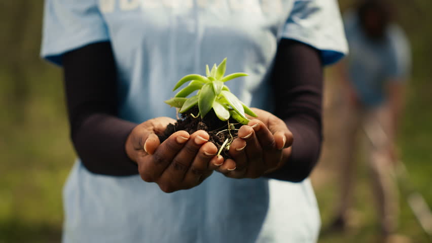 African american girl presenting small sprout with organic soil ready for planting in the ground, preserving nature and forest habitat. Young activist doing voluntary work to grow trees. Camera A.