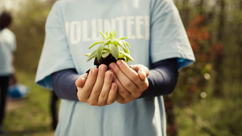 Little kid volunteer holding a small seedling with natural soil in hands, presenting plant for new habitat in the forest. Child fighting nature preservation, environmental care awareness. Camera B. Royalty-Free Stock Footage #3486849365