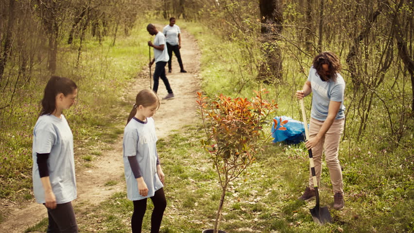 Climate activists planting new trees in a woodland ecosystem, digging holes and putting seedlings in the ground. Volunteers working on preserving nature and protecting the environment. Camera B. Royalty-Free Stock Footage #3486861547