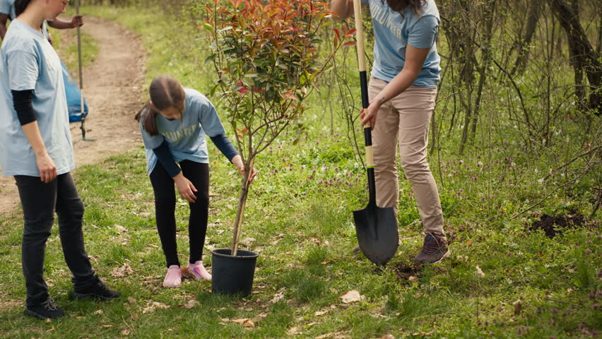 Team of volunteers planting trees around forest area for nature preservation and protection, doing voluntary work for a conservation project. Climate change activists plant seedlings. Camera A.