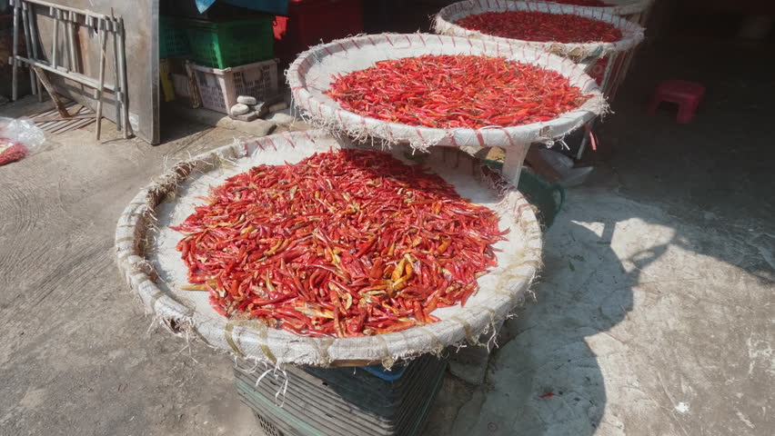 Red hot pepper pods are dried outdoors on street.